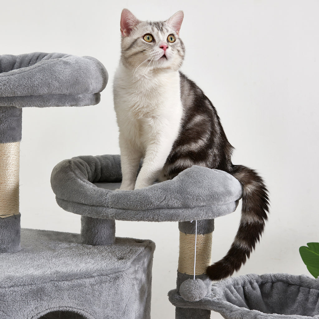 Dim Gray 59" H Multi-Level Cat Tree with Flexible Pole Covered with Sisal, Plush Perch, Hammock and Apartment, Cat Tower Furniture-For Cats and Pets_Light Gray