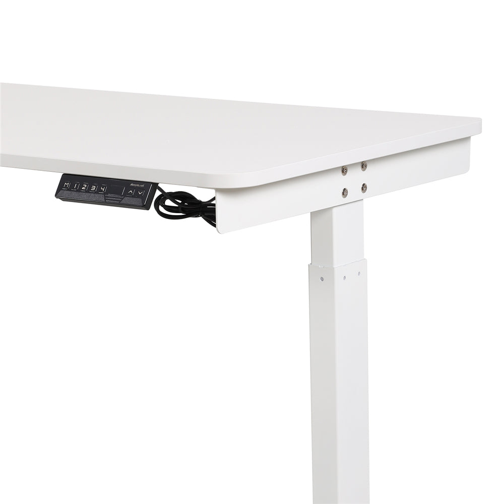 Single Motor Electric Height Adjustable Desk for Office Home White