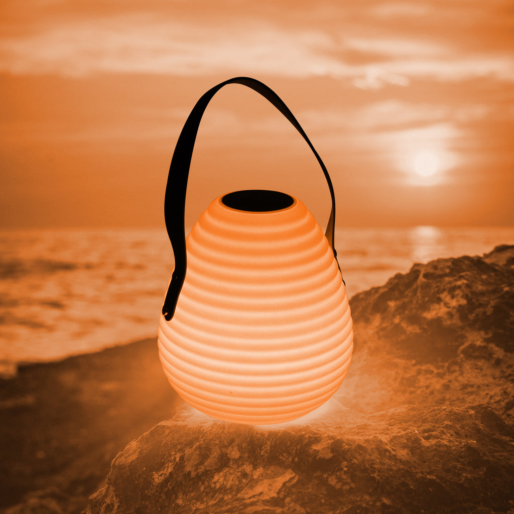Saddle Brown Portable LED Lanterns Light