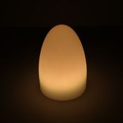 Sienna Egg Shaped LED Table Lamp 16 Color Mode