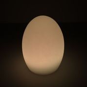 Black Egg Shaped LED Table Lamp 16 Color Mode