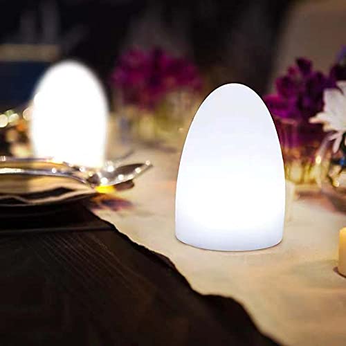 Tan Egg Shaped LED Table Lamp 16 Color Mode
