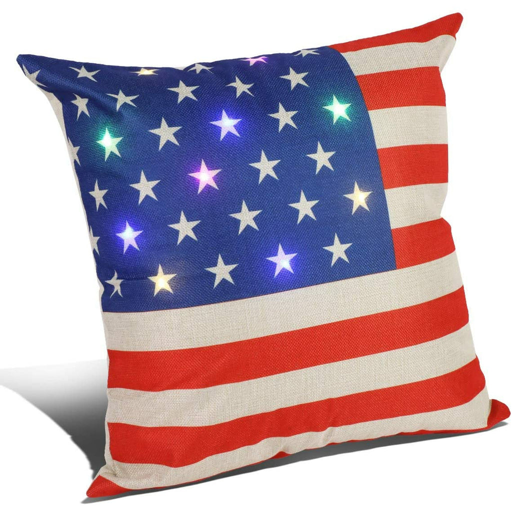 Gray Christmas Throw Pillow Covers Decorative LED Light Up _Cat Kitty Puppy Dog Flag (Set of 4)