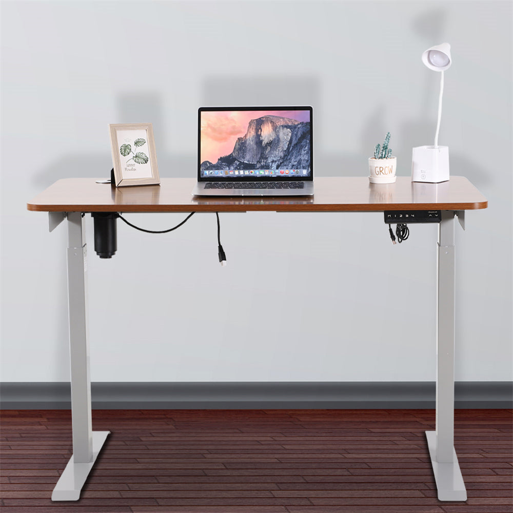 Single Motor Electric Height Adjustable Desk for Office Home Walnut