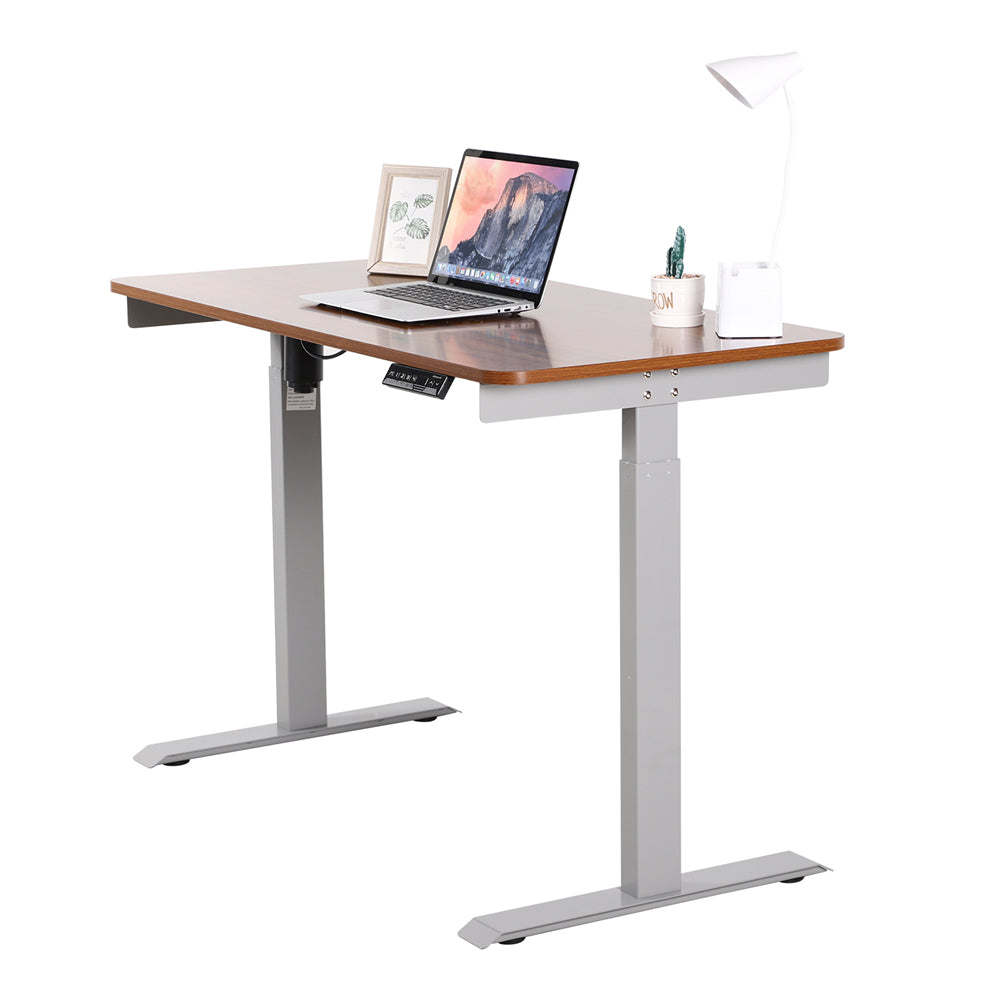 Single Motor Electric Height Adjustable Desk for Office Home Walnut