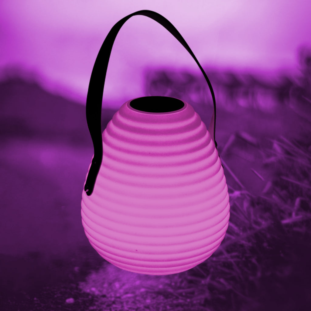 Orchid Portable LED Lanterns Light