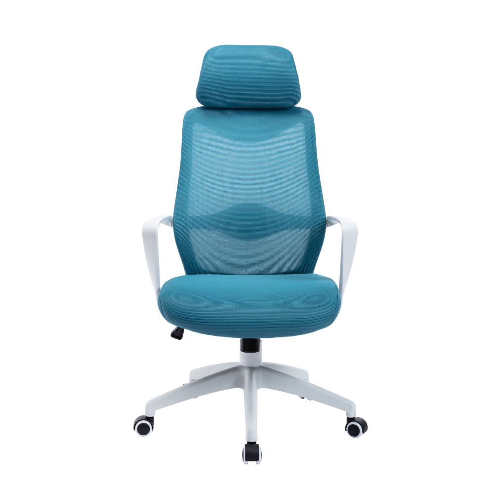 Ergonomic Mesh Chair Home Executive Desk Chair High Back with Wheels for Teens/Adults Blue